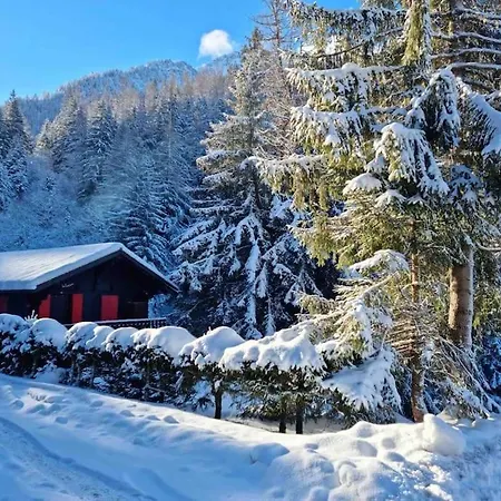 Charmant Chalet Immerge Dans La Nature Orsières